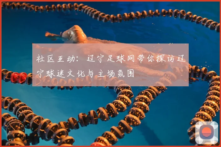 社区互动：辽宁足球网带你探访辽宁球迷文化与主场氛围
