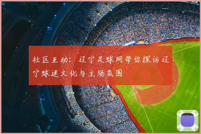 社区互动：辽宁足球网带你探访辽宁球迷文化与主场氛围