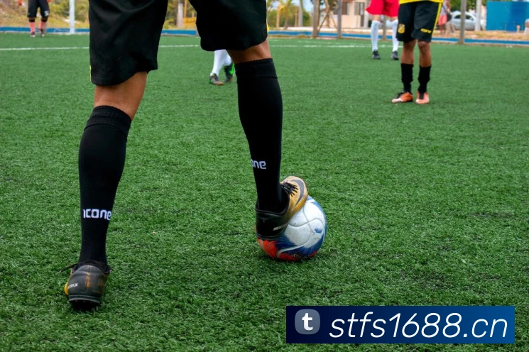 ayx.cn登录入口平台生态图